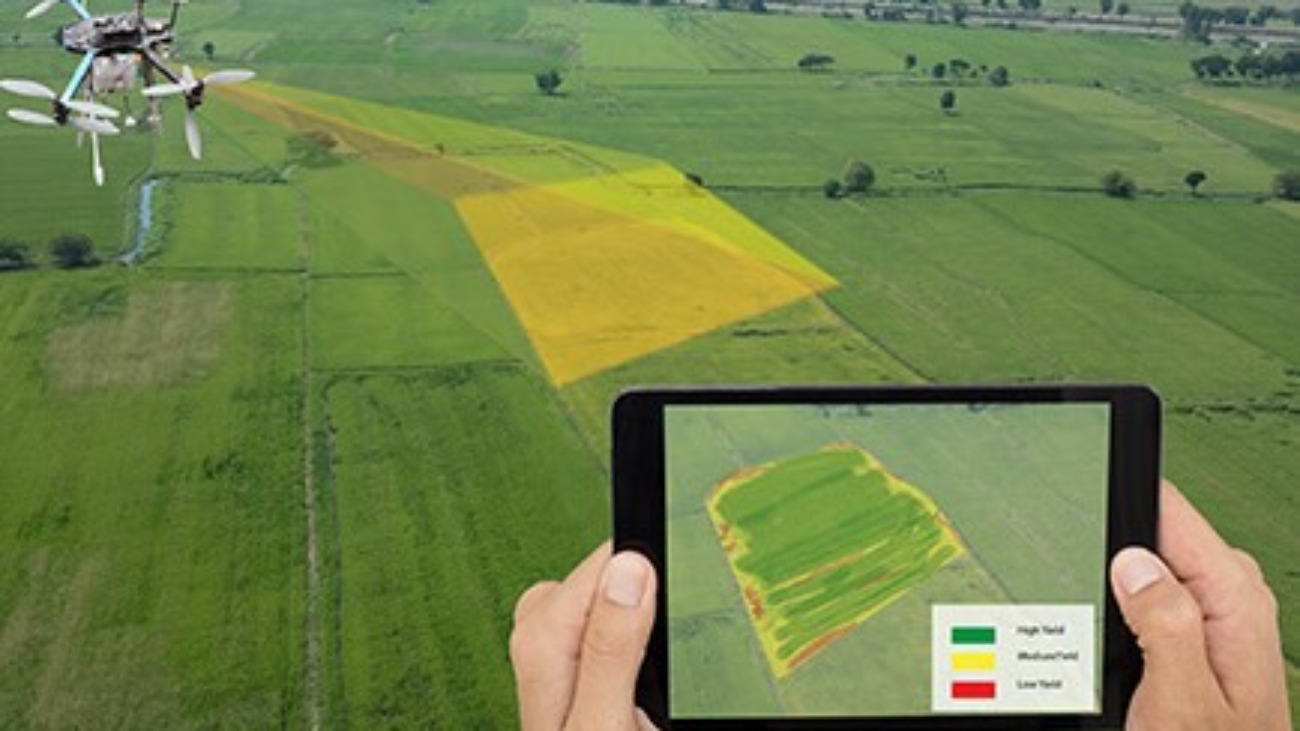 DIY Drone Mapping Workshop for Agriculture Cohga