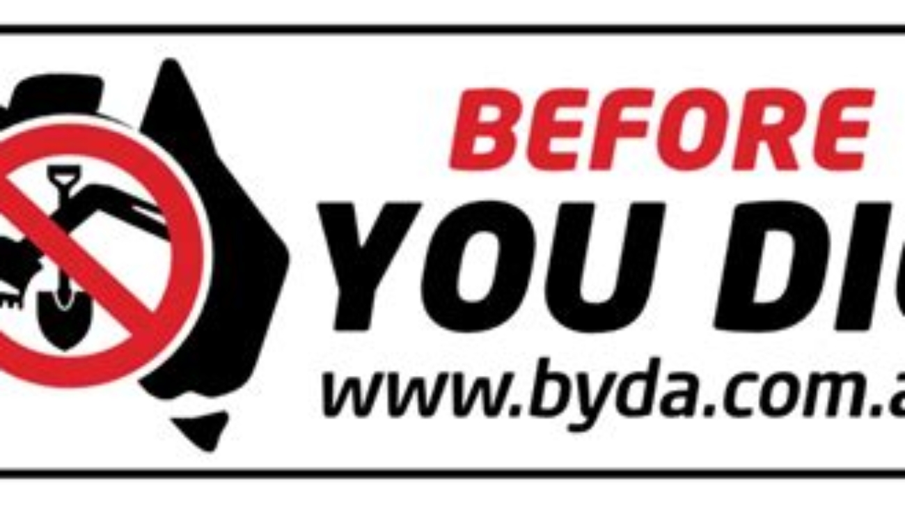 BYDA Logo