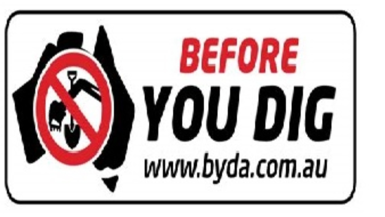 BYDA Logo 2